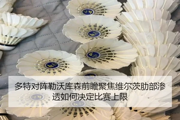 多特对阵勒沃库森前瞻聚焦维尔茨肋部渗透如何决定比赛上限