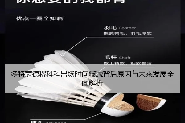 多特蒙德穆科科出场时间骤减背后原因与未来发展全面解析