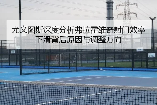 尤文图斯深度分析弗拉霍维奇射门效率下滑背后原因与调整方向